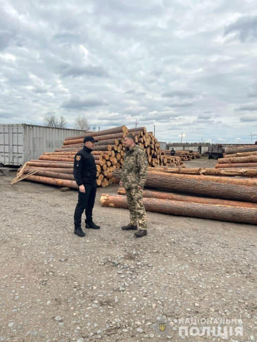 На Рівненщині вилучили 40 метрів кубічних деревини: поліцейські перевіряють законність її походження