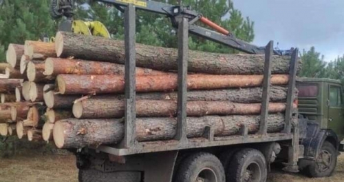"В кого «сверблять руки» рубати – на передову", - Віталій Коваль відреагував на незаконну вирубку дерев