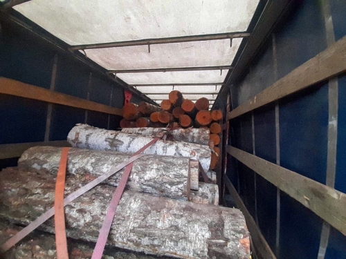 На Рівненщині поліцейські вилучили майже 35 кубів незаконної деревини