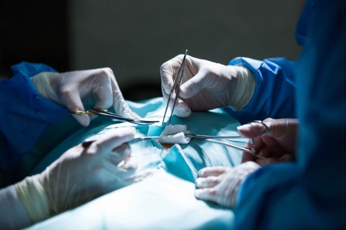 Понад 3,2 тисячі мешканців Рівненщини скористалися безоплатними послугами за напрямом «Хірургія одного дня»