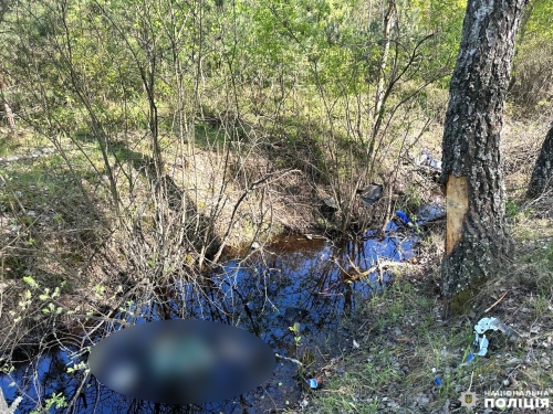 У Сарненському районі загинув мотоцикліст: поліцейські встановлюють обставини ДТП