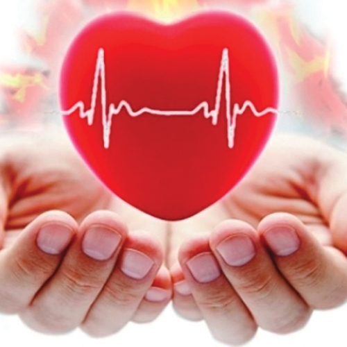 На Рівненщині понад 43,6 тис. пацієнтів отримують ліки проти серцево-судинних захворювань за програмою «Доступні ліки»