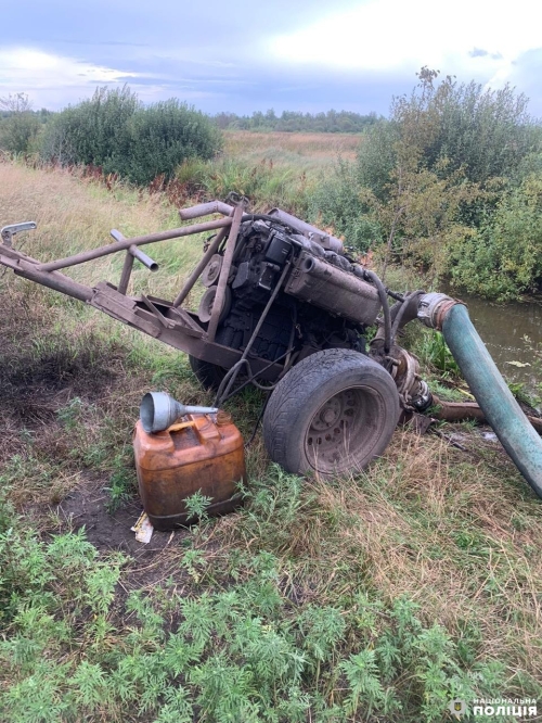 Незаконна порубка лісу та видобуток бурштину: у Вараському районі задокументували злочини у сфері довкілля