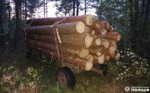 На Рівненщині поліцейські викрили двох зловмисників на незаконній порубці та зберіганні деревини