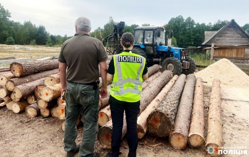 На Рівненщині поліцейські викрили двох зловмисників на незаконній порубці та зберіганні деревини