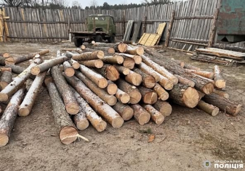 Поліцейські задокументували незаконну порубку лісу у Вараському районі