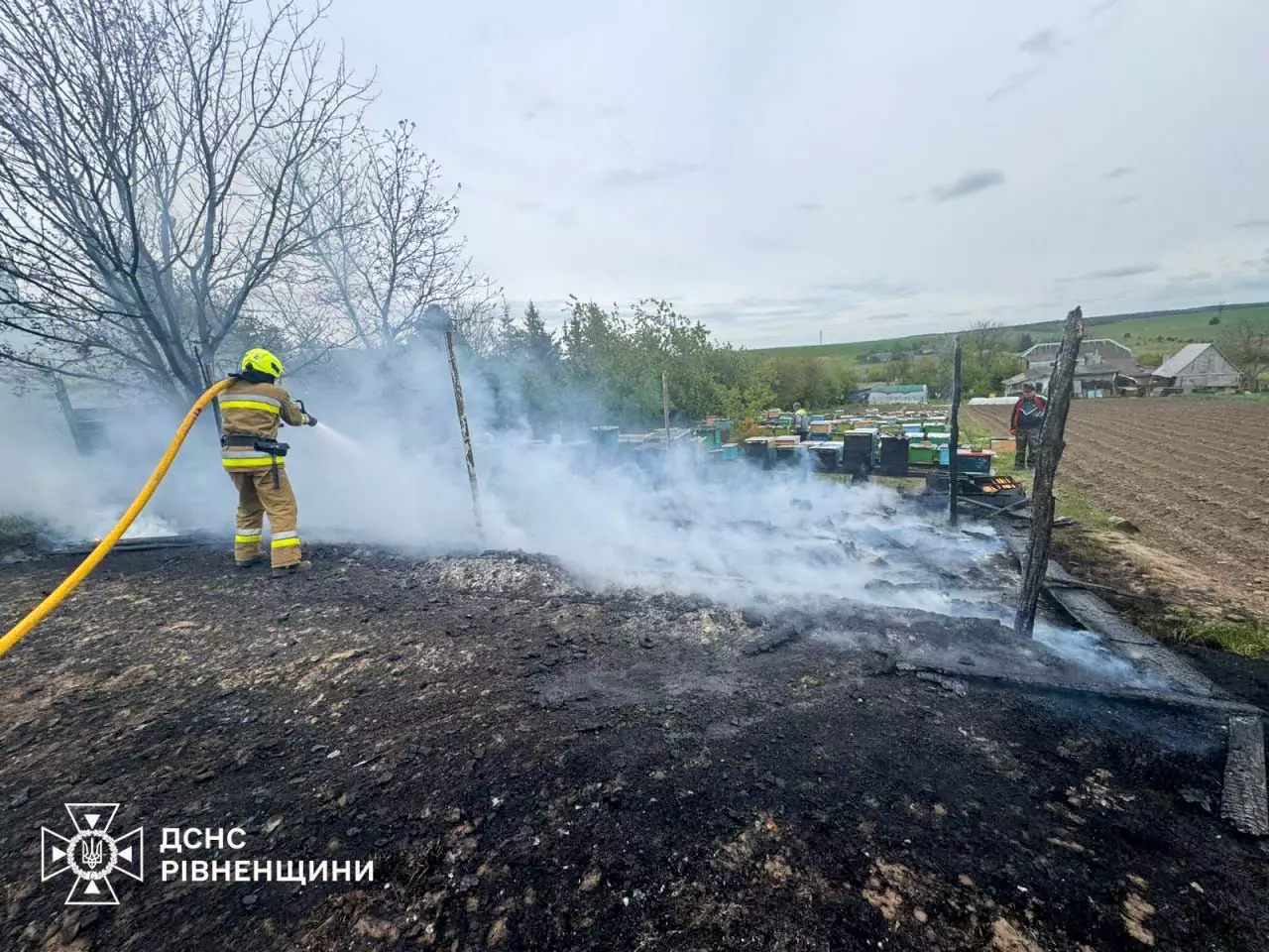 Пожежа у селі Дерев’яне: вогнем знищено вулики Пожежа у селі Дерев’яне: вогнем знищено вулики