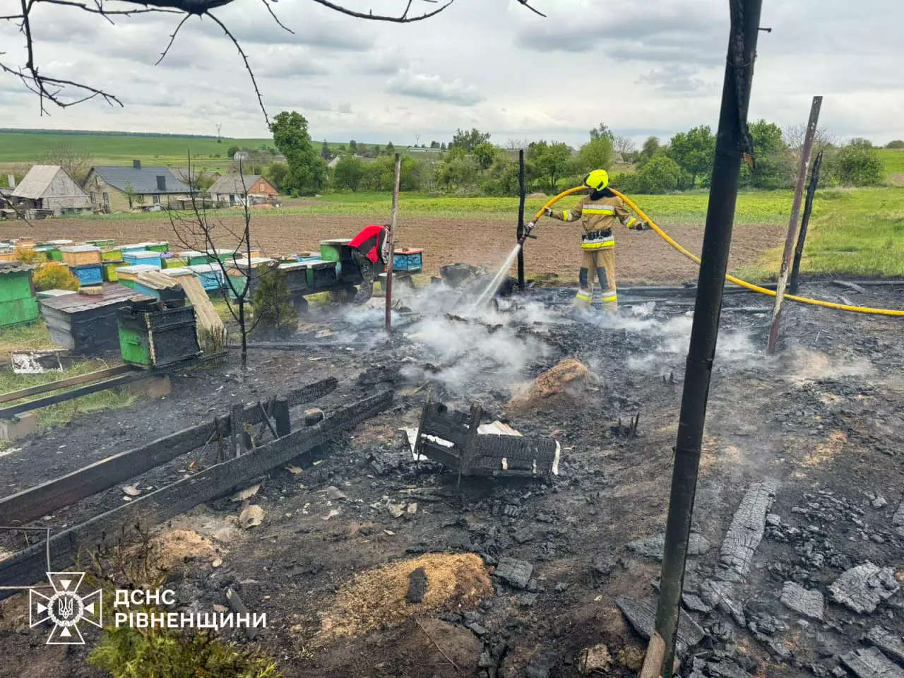 Пожежа у селі Дерев’яне: вогнем знищено вулики Пожежа у селі Дерев’яне: вогнем знищено вулики