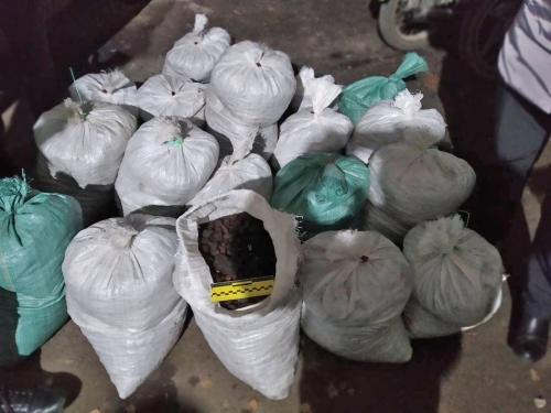 Понад 350 кг бурштину вилучили поліцейські у жителя Сарненщини
