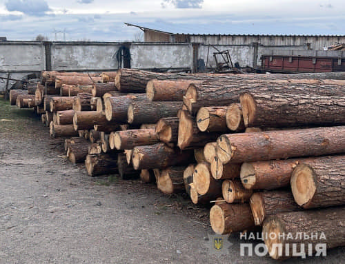 На Рівненщині вилучили 40 метрів кубічних деревини: поліцейські перевіряють законність її походження