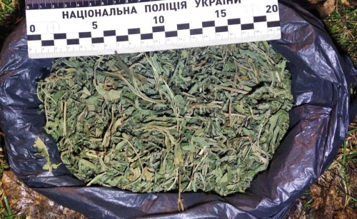 У Вараському районі поліцейські задокументували незаконне зберігання наркотичних речовин