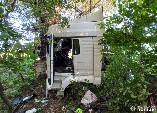 Врізався у дерево та загинув: смертельна ДТП у Дубенському районі